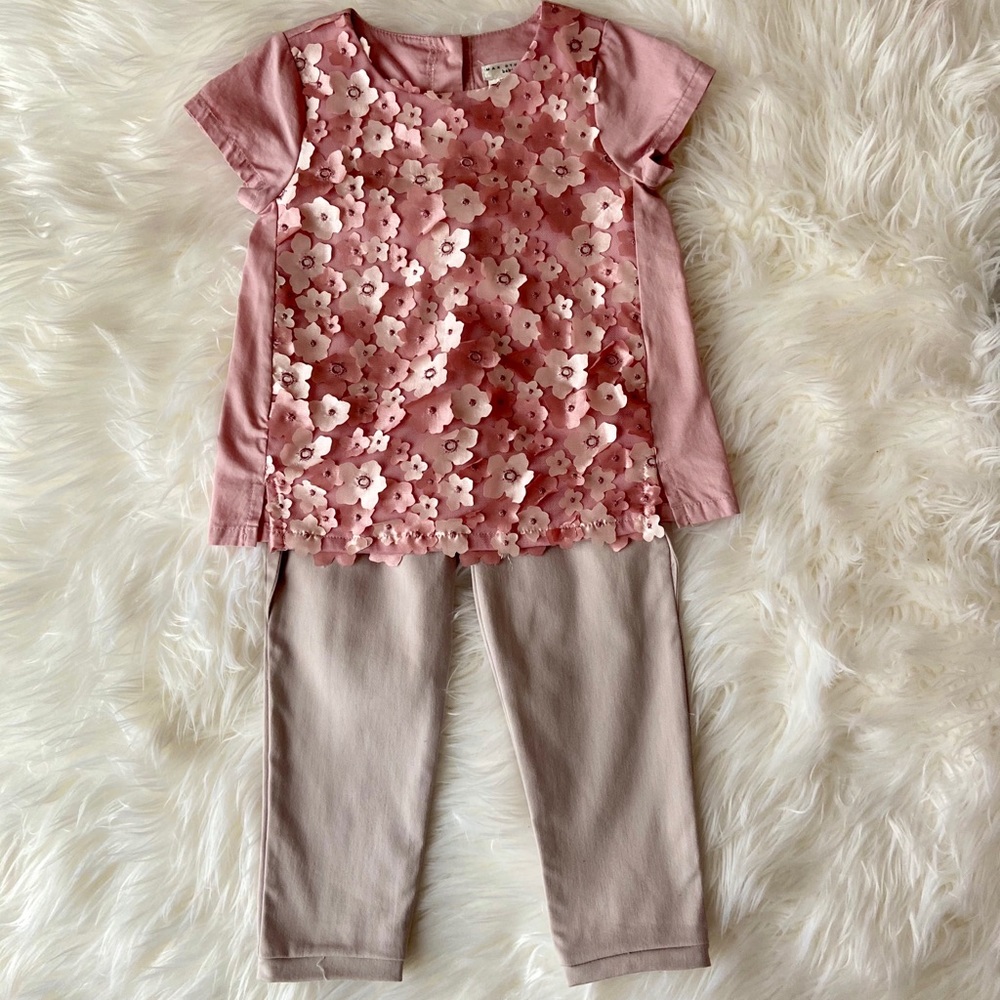 Max Studio Blouse and Pant 3T